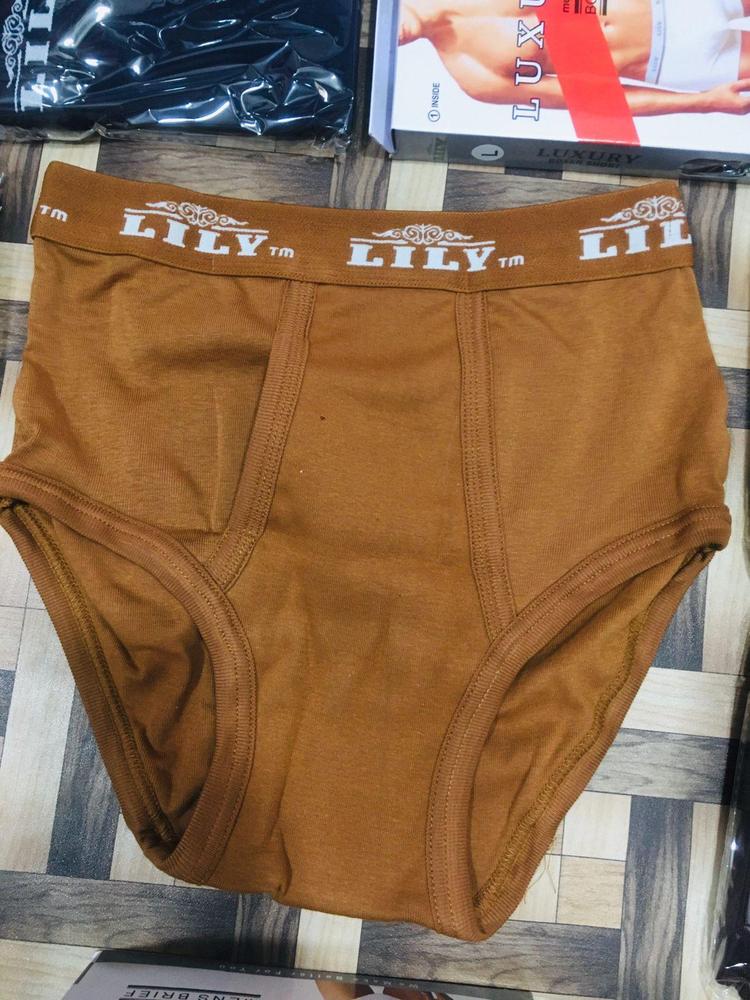 Men's Cotton Briefs (Underwear)