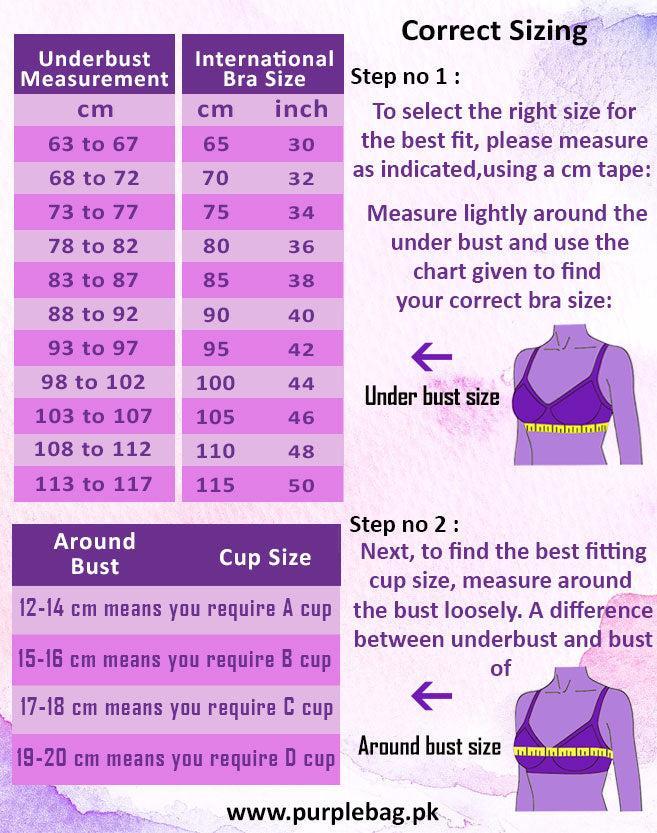 Fancy Lace Net BRA by purple Bag