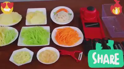 10 in 1 vegitable Cutter