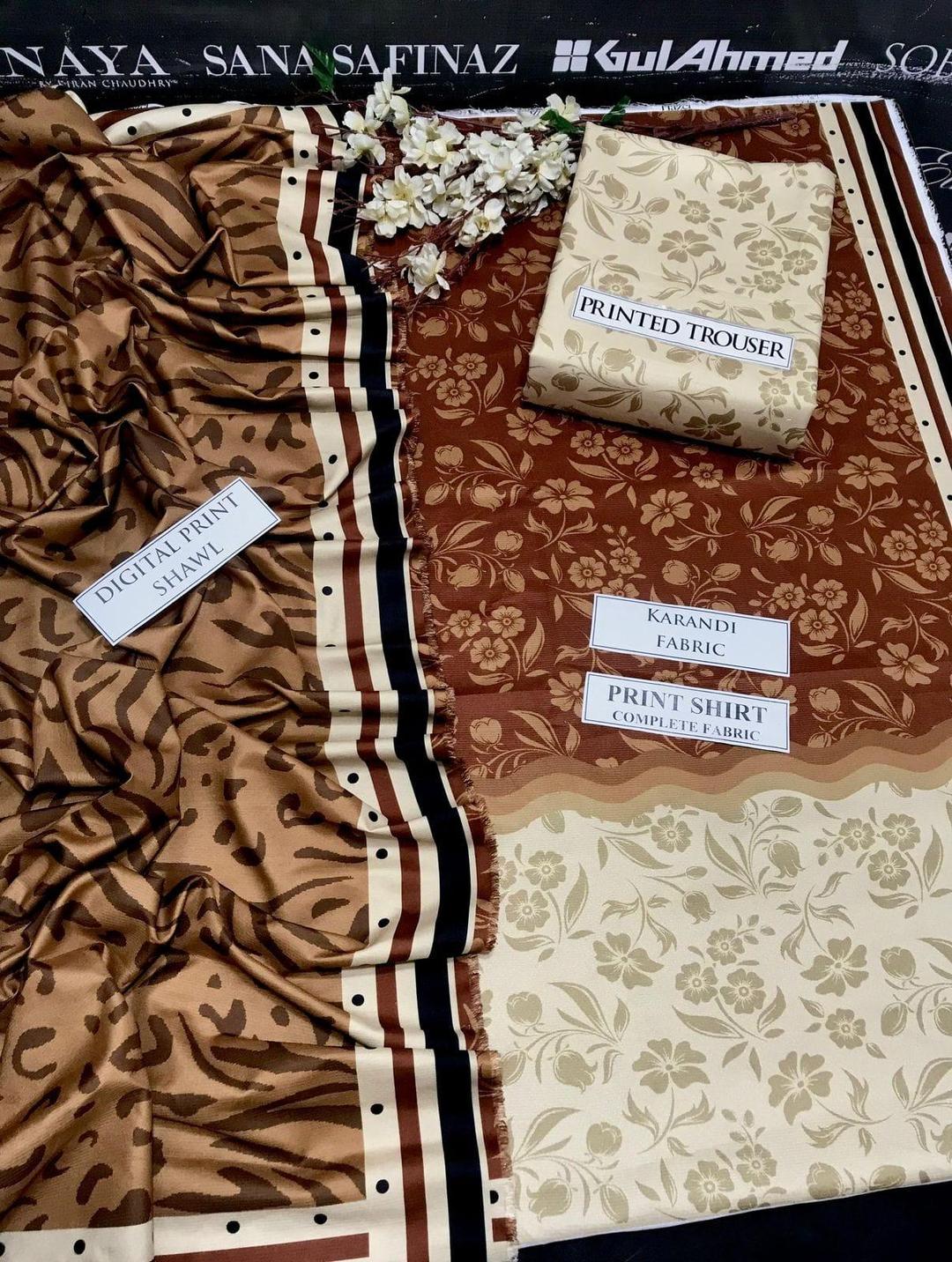 Women's 3 Pcs Ensemble Stylish Organaza Karandi Suit Set with Digital Print