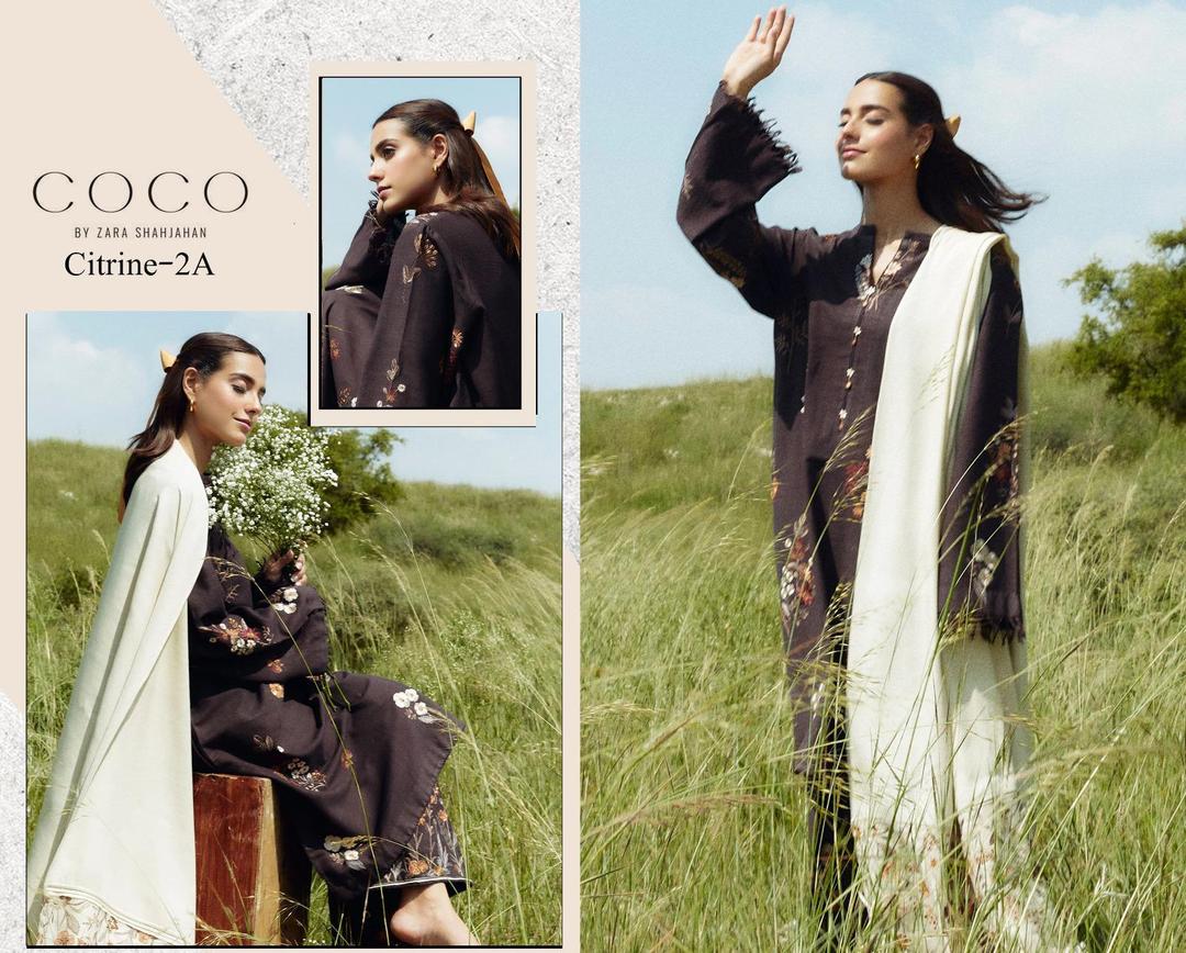 3 Pc Women's Unstitched Embroidered Suit